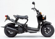 Honda Zoomer Honda Zoomer